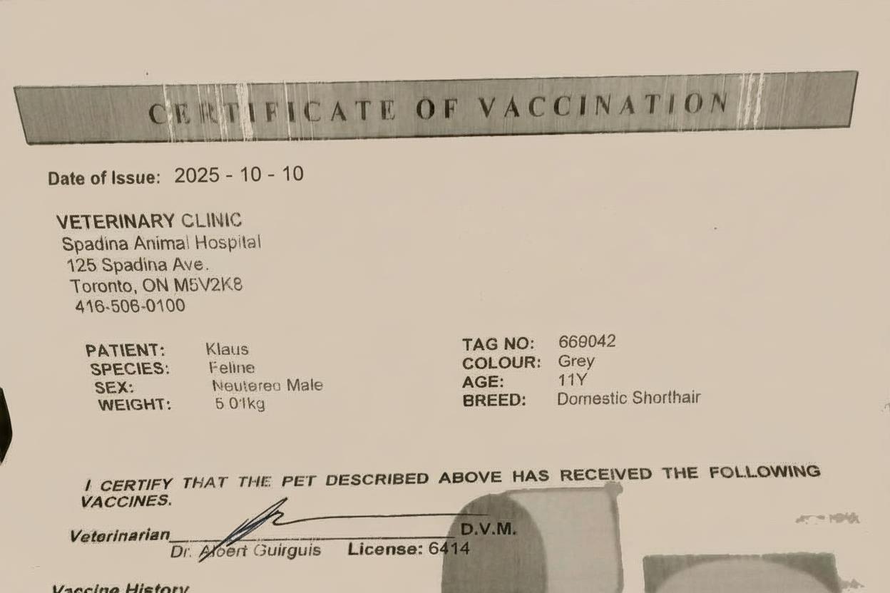 Klaus Vaccination Certificate